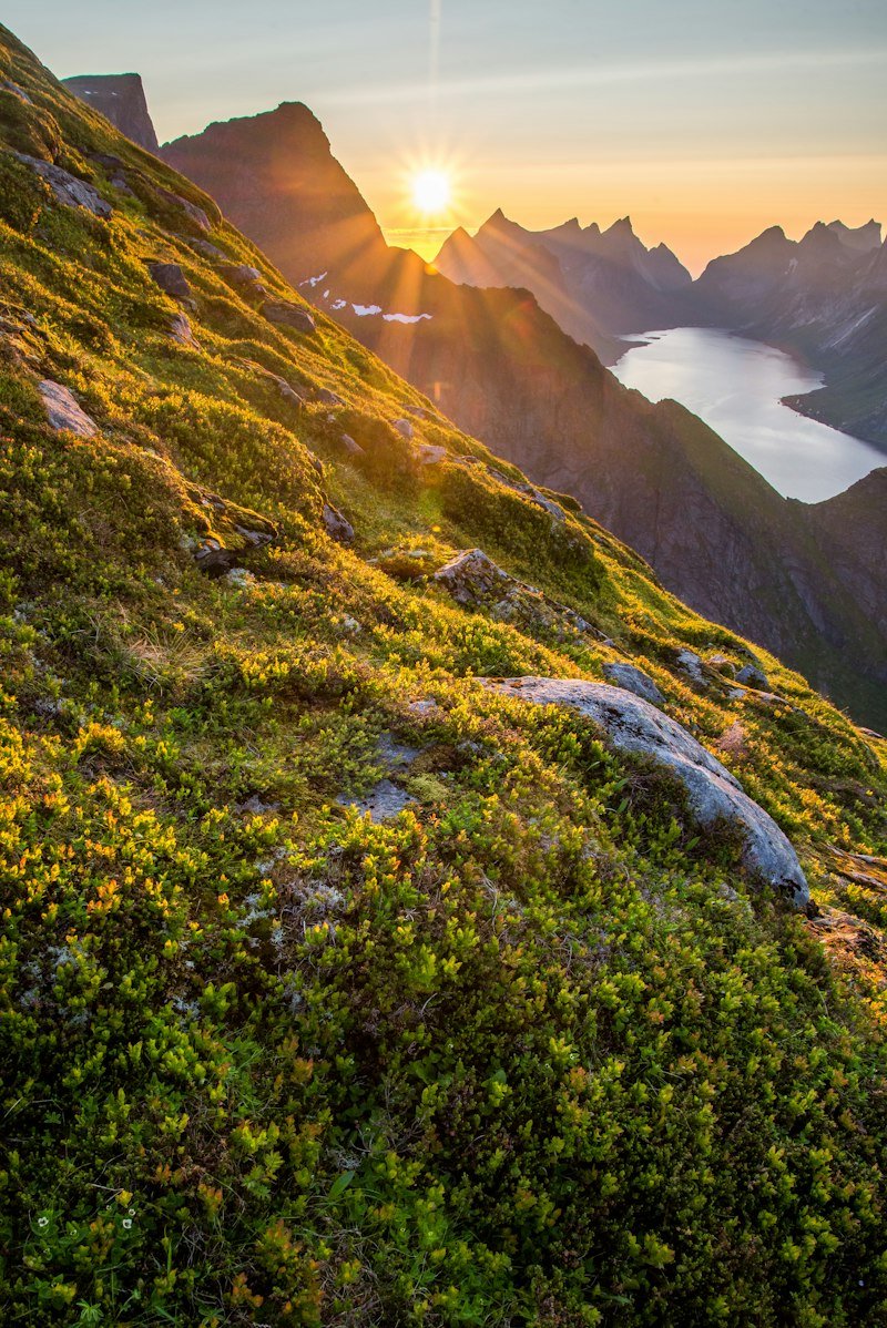 Mountain Landscape