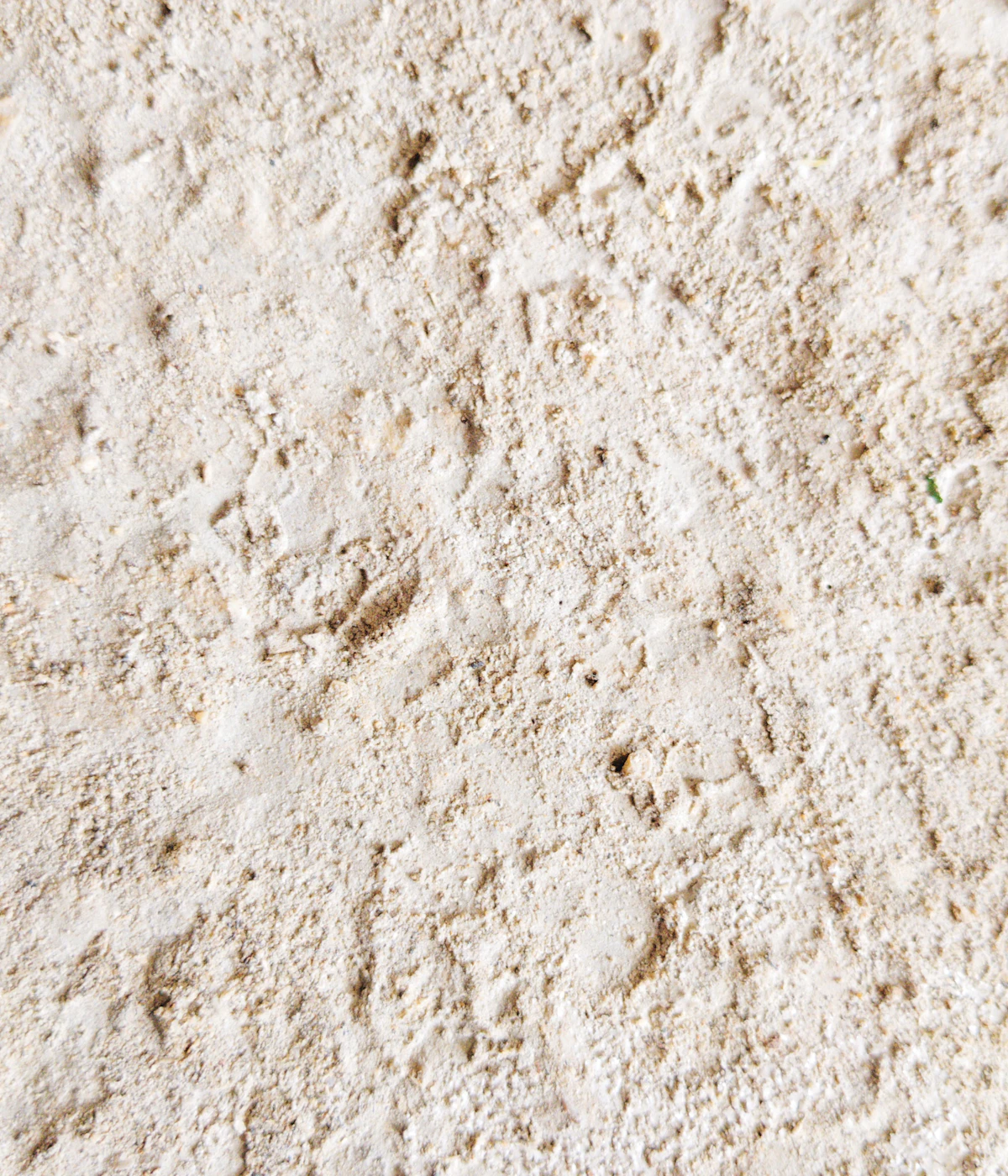 Travertine detail