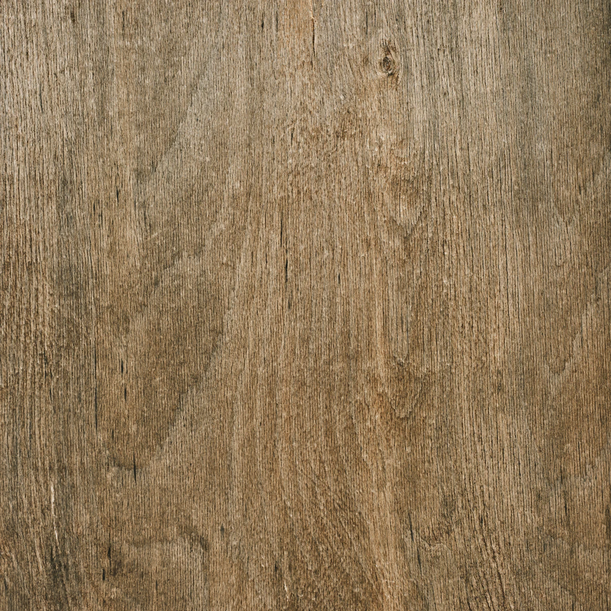 Solid oak, macro